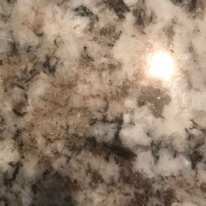 Meet your Posher, Rodrigo